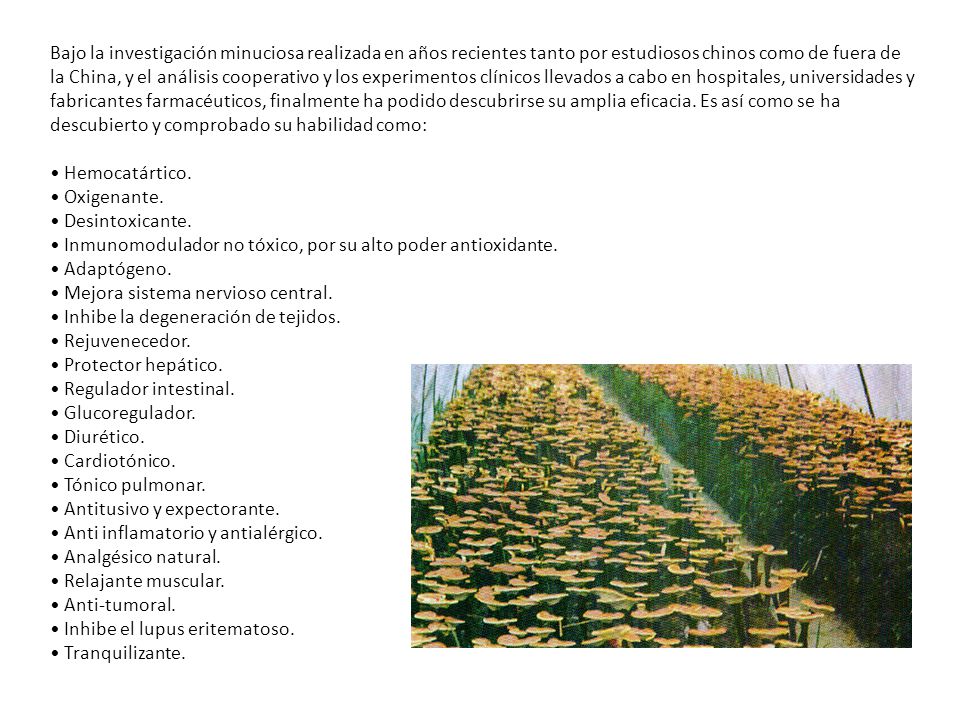 Bajo la investigación minuciosa realizada en años recientes tanto por estudiosos chinos como de fuera de la China, y el análisis cooperativo y los experimentos clínicos llevados a cabo en hospitales, universidades y fabricantes farmacéuticos, finalmente ha podido descubrirse su amplia eficacia. Es así como se ha descubierto y comprobado su habilidad como: