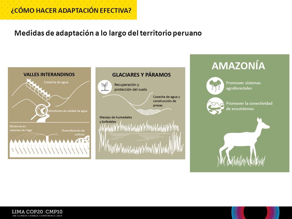 Medidas de adaptación a lo largo del territorio peruano