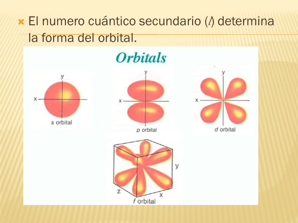 El numero cuántico secundario (l) determina la forma del orbital.