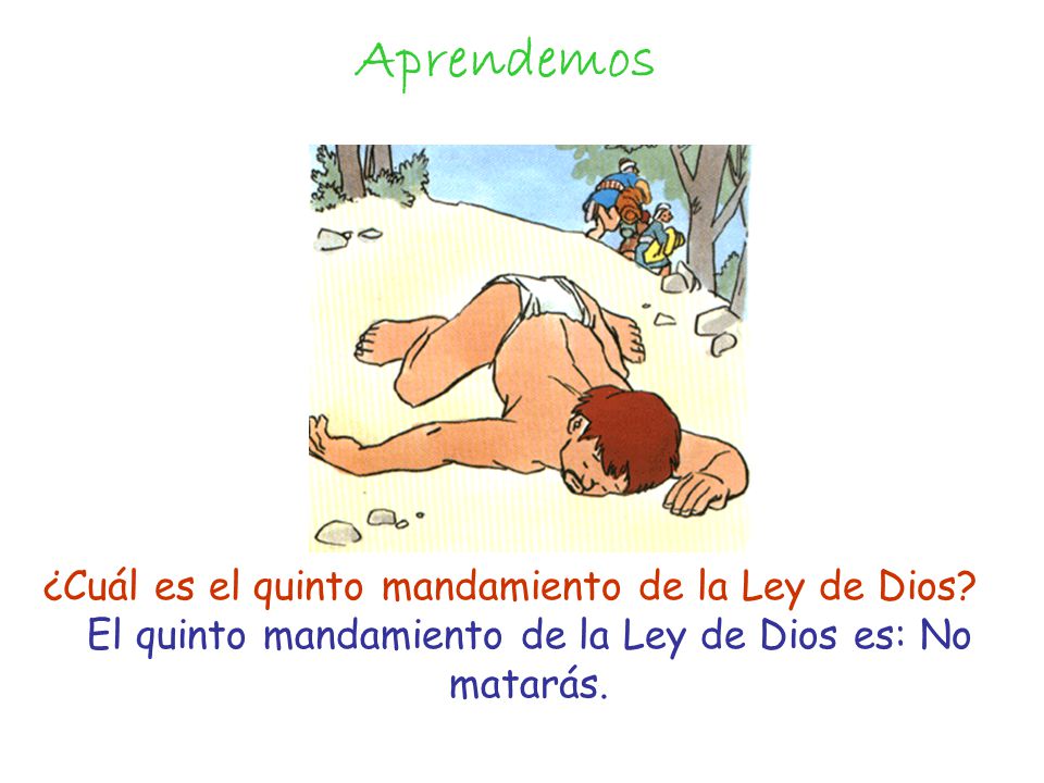 Aprendemos ¿Cuál es el quinto mandamiento de la Ley de Dios.