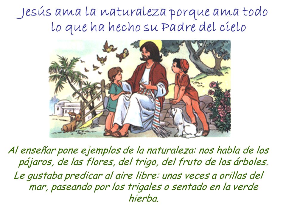 Jesús ama la naturaleza porque ama todo lo que ha hecho su Padre del cielo