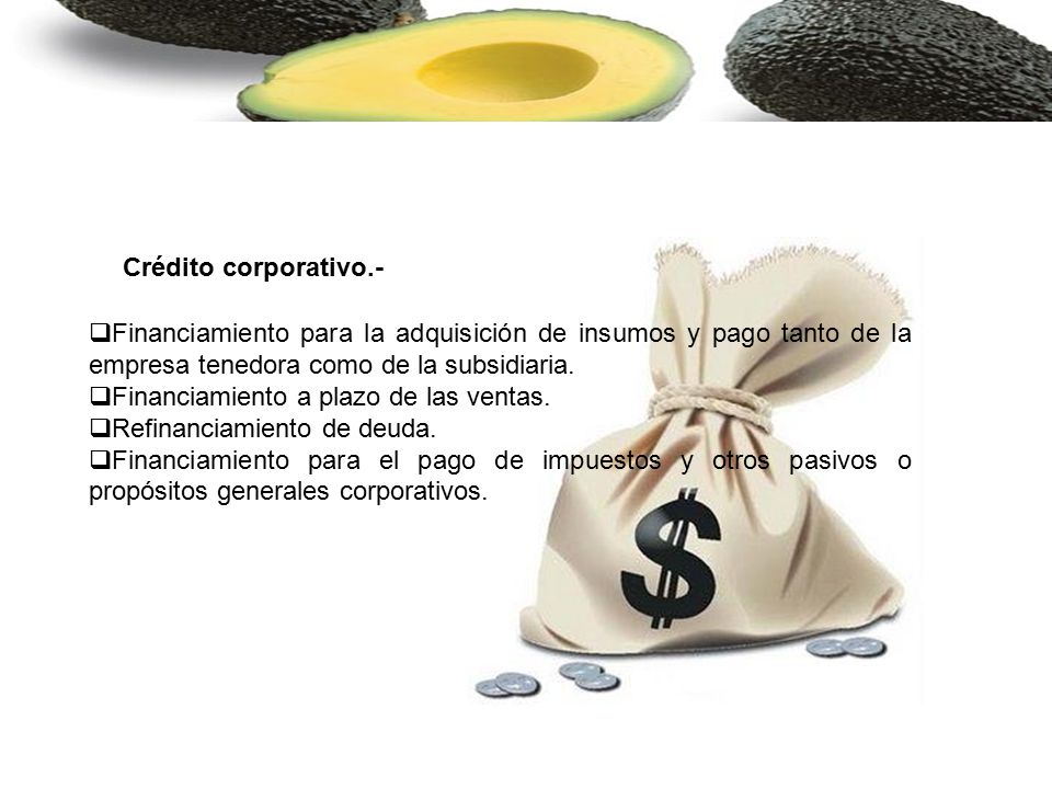 Crédito corporativo.- Financiamiento para la adquisición de insumos y pago tanto de la empresa tenedora como de la subsidiaria.