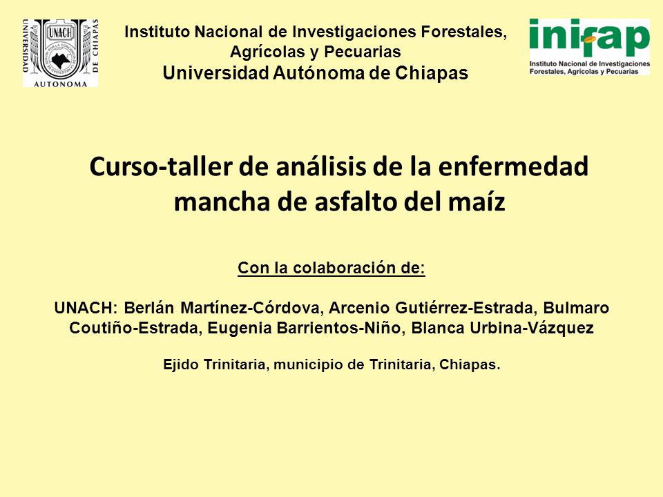 Curso-taller de análisis de la enfermedad mancha de asfalto del maíz