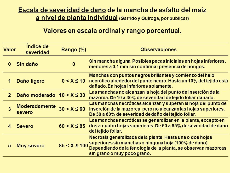Escala de severidad de daño de la mancha de asfalto del maíz