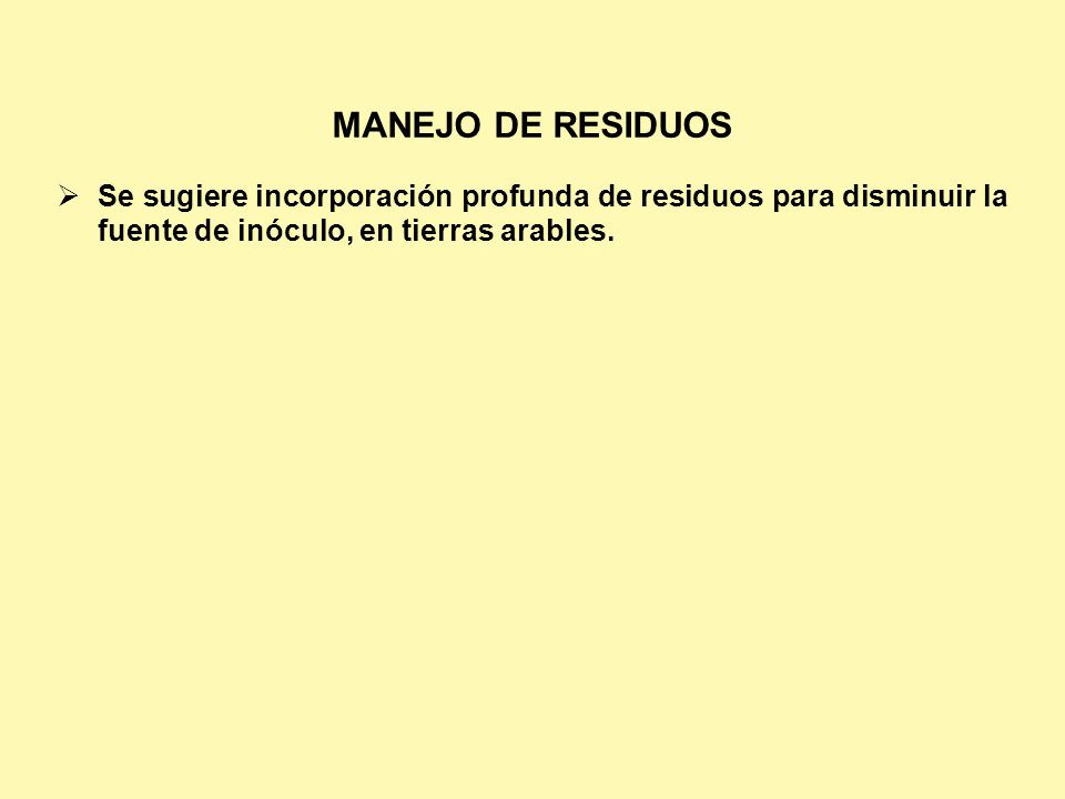 MANEJO DE RESIDUOS Se sugiere incorporación profunda de residuos para disminuir la fuente de inóculo, en tierras arables.