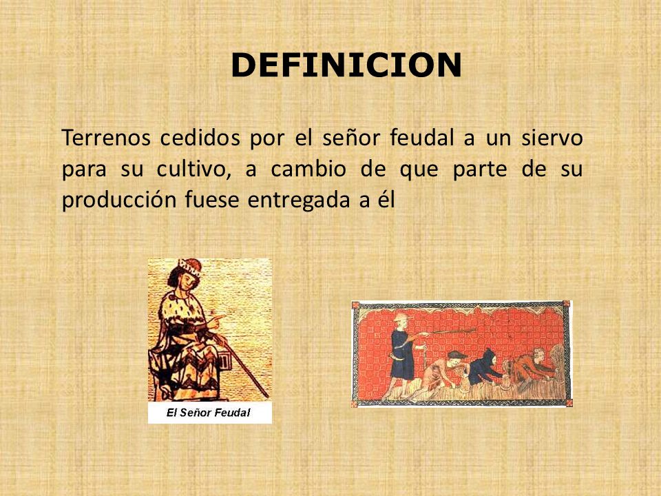 DEFINICION Terrenos cedidos por el señor feudal a un siervo para su cultivo, a cambio de que parte de su producción fuese entregada a él.