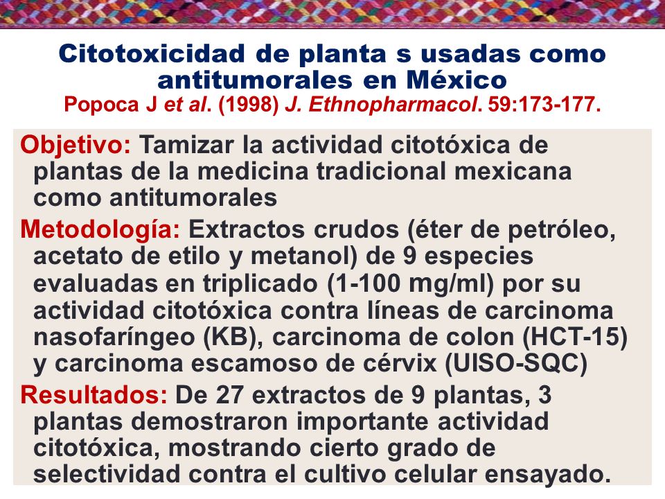 Citotoxicidad de planta s usadas como antitumorales en México Popoca J et al. (1998) J. Ethnopharmacol. 59:
