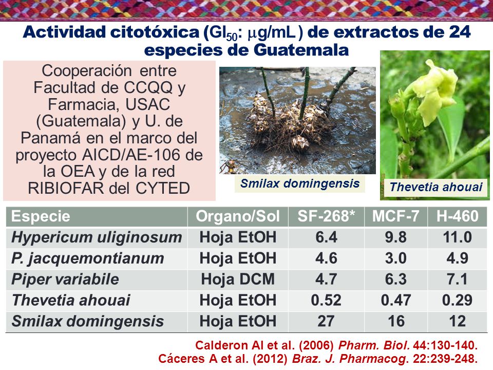 Actividad citotóxica (GI50: mg/mL ) de extractos de 24 especies de Guatemala