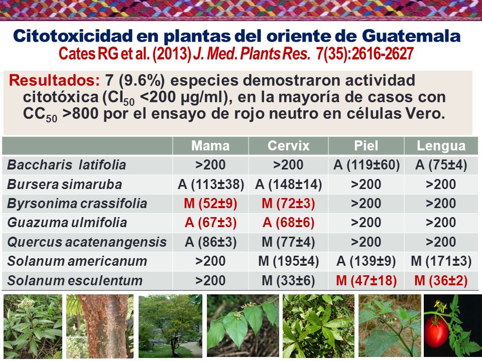 Citotoxicidad en plantas del oriente de Guatemala Cates RG et al