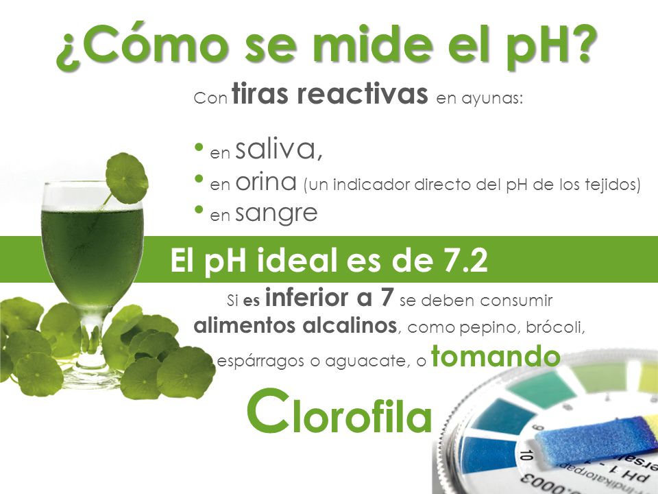 Clorofila ¿Cómo se mide el pH El pH ideal es de 7.2