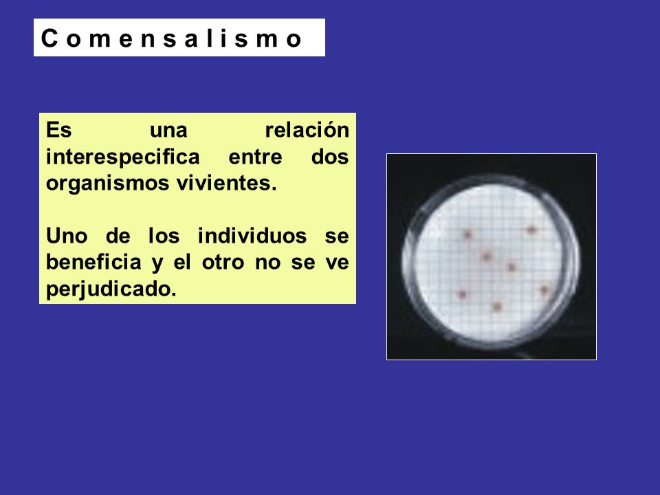 C o m e n s a l i s m o Es una relación interespecifica entre dos organismos vivientes.