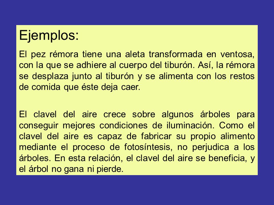 Ejemplos: