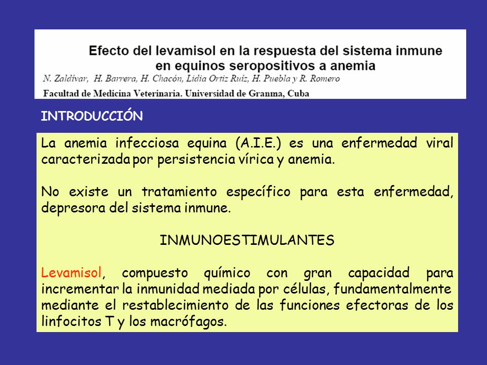 INTRODUCCIÓN La anemia infecciosa equina (A.I.E.) es una enfermedad viral caracterizada por persistencia vírica y anemia.