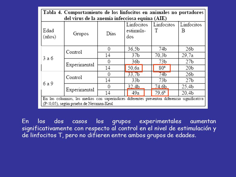 En los dos casos los grupos experimentales aumentan significativamente con respecto al control en el nivel de estimulación y de linfocitos T, pero no difieren entre ambos grupos de edades.