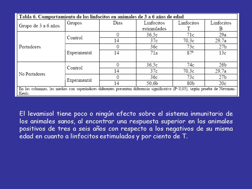 El levamisol tiene poco o ningún efecto sobre el sistema inmunitario de los animales sanos, al encontrar una respuesta superior en los animales positivos de tres a seis años con respecto a los negativos de su misma edad en cuanto a linfocitos estimulados y por ciento de T.