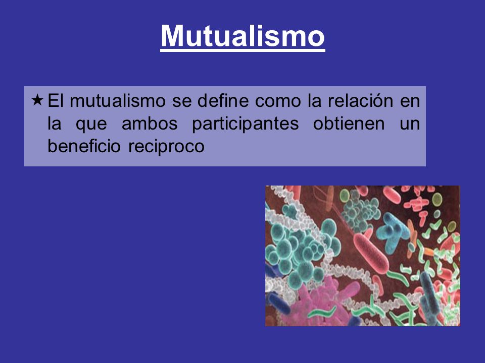 Mutualismo El mutualismo se define como la relación en la que ambos participantes obtienen un beneficio reciproco.