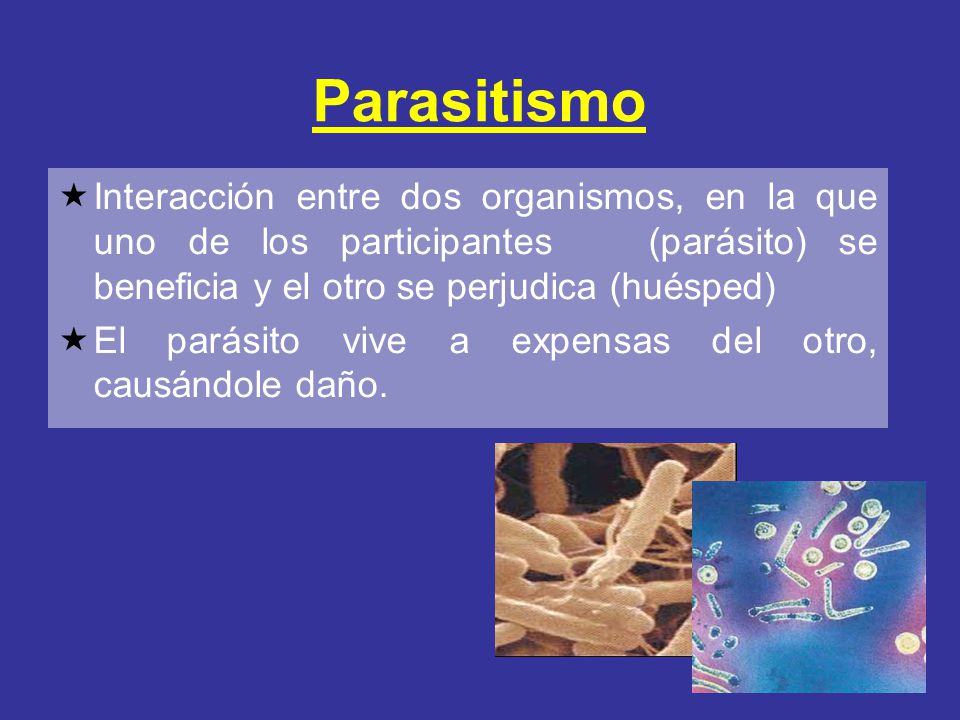 Parasitismo Interacción entre dos organismos, en la que uno de los participantes (parásito) se beneficia y el otro se perjudica (huésped)
