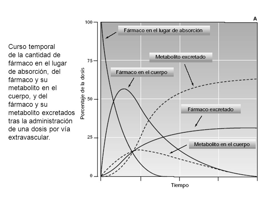 Curso temporal de la cantidad de. fármaco en el lugar. de absorción, del. fármaco y su. metabolito en el.