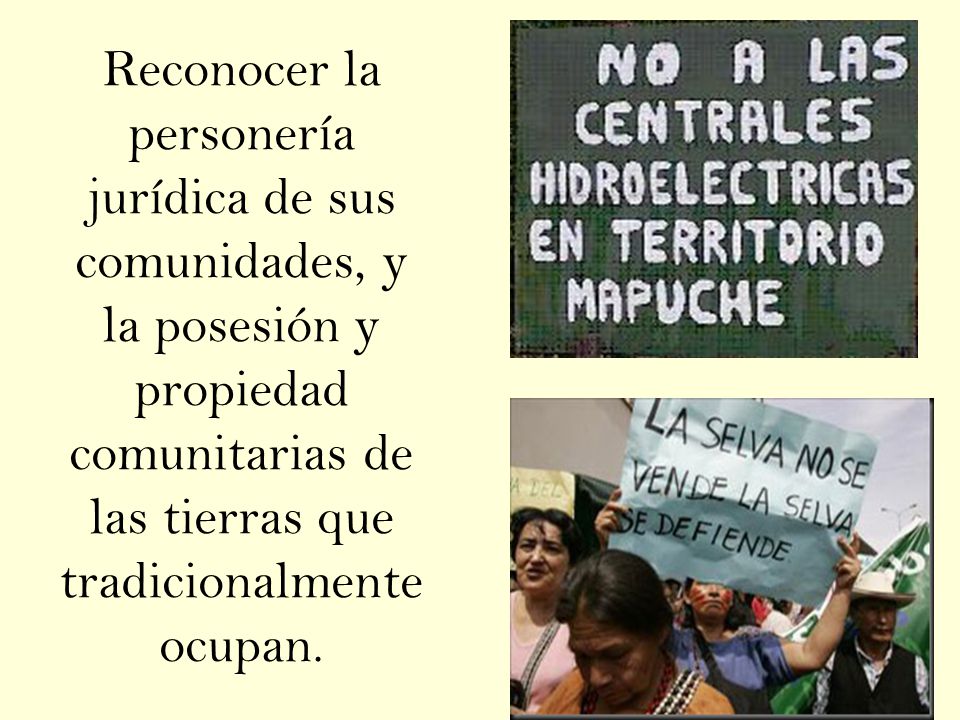 Reconocer la personería jurídica de sus comunidades, y la posesión y propiedad comunitarias de las tierras que tradicionalmente ocupan.