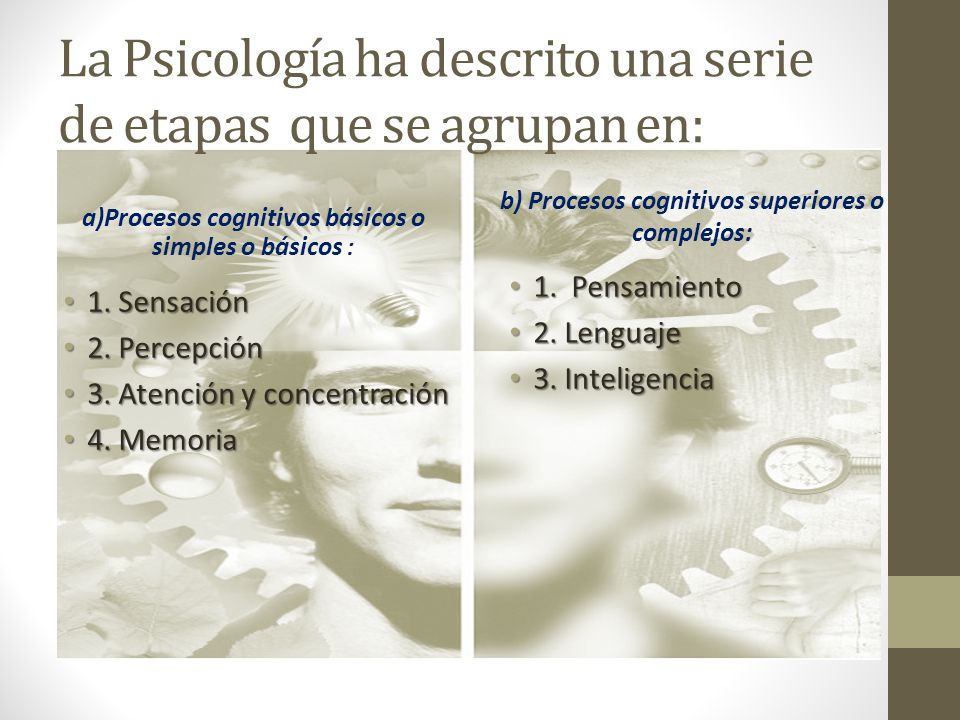 La Psicología ha descrito una serie de etapas que se agrupan en: