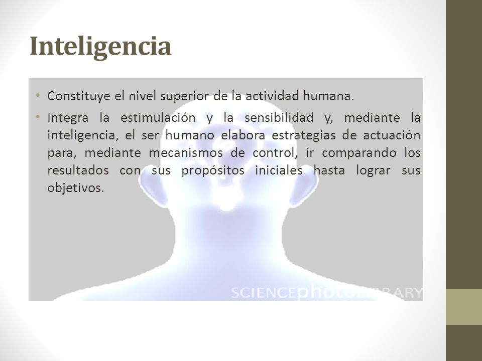 Inteligencia Constituye el nivel superior de la actividad humana.