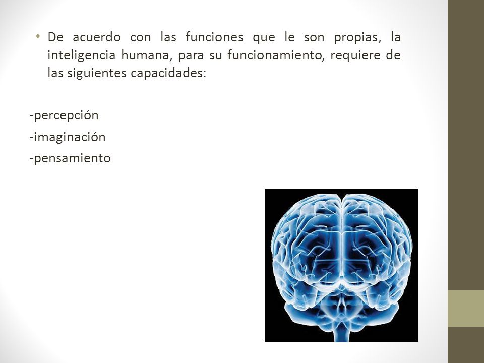 De acuerdo con las funciones que le son propias, la inteligencia humana, para su funcionamiento, requiere de las siguientes capacidades: