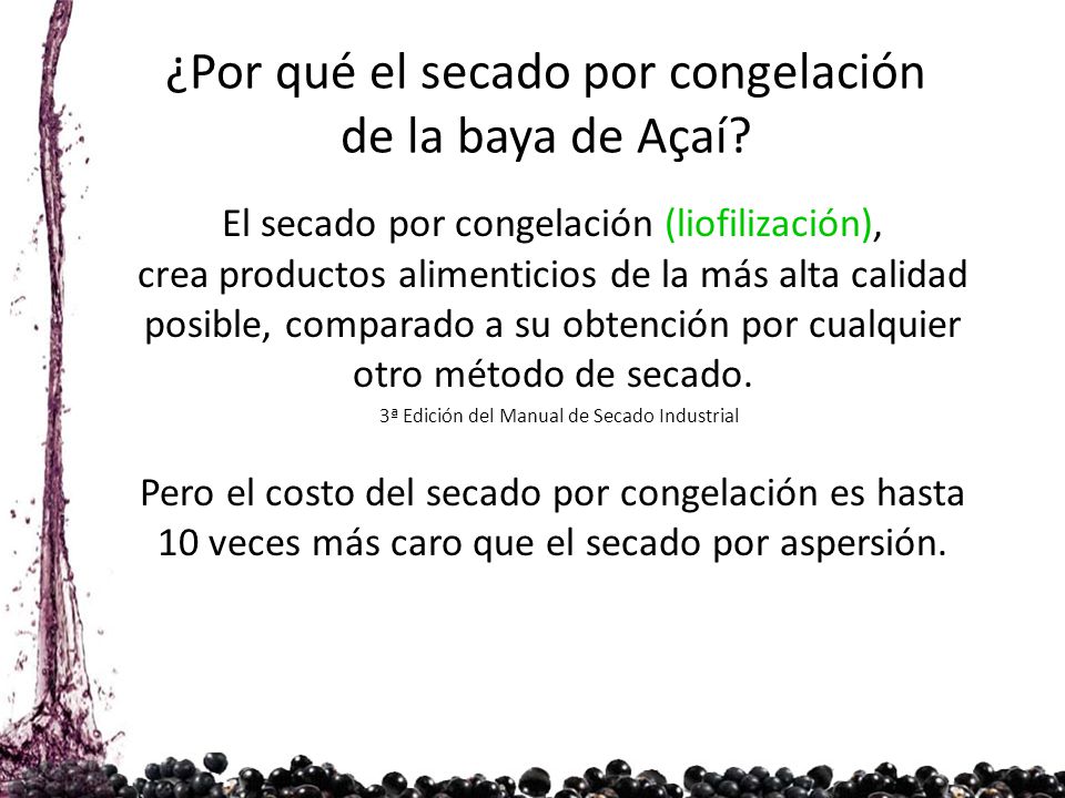 ¿Por qué el secado por congelación de la baya de Açaí