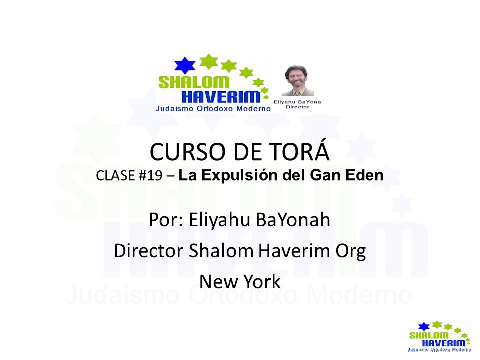 CURSO DE TORÁ Por: Eliyahu BaYonah Director Shalom Haverim Org