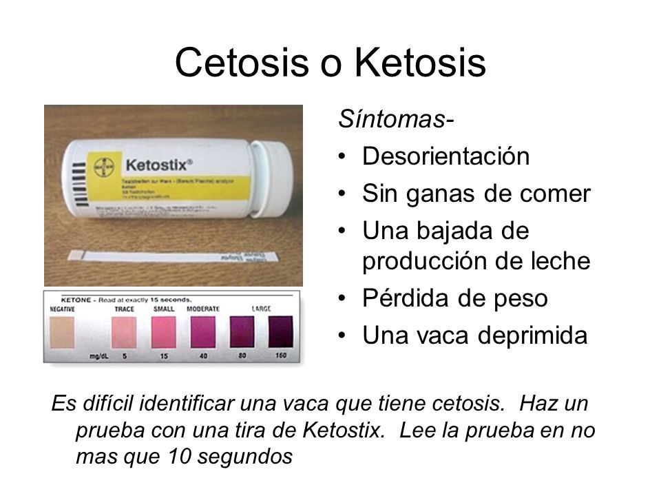 Cetosis o Ketosis Síntomas- Desorientación Sin ganas de comer
