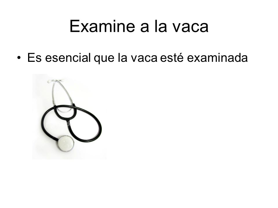Examine a la vaca Es esencial que la vaca esté examinada