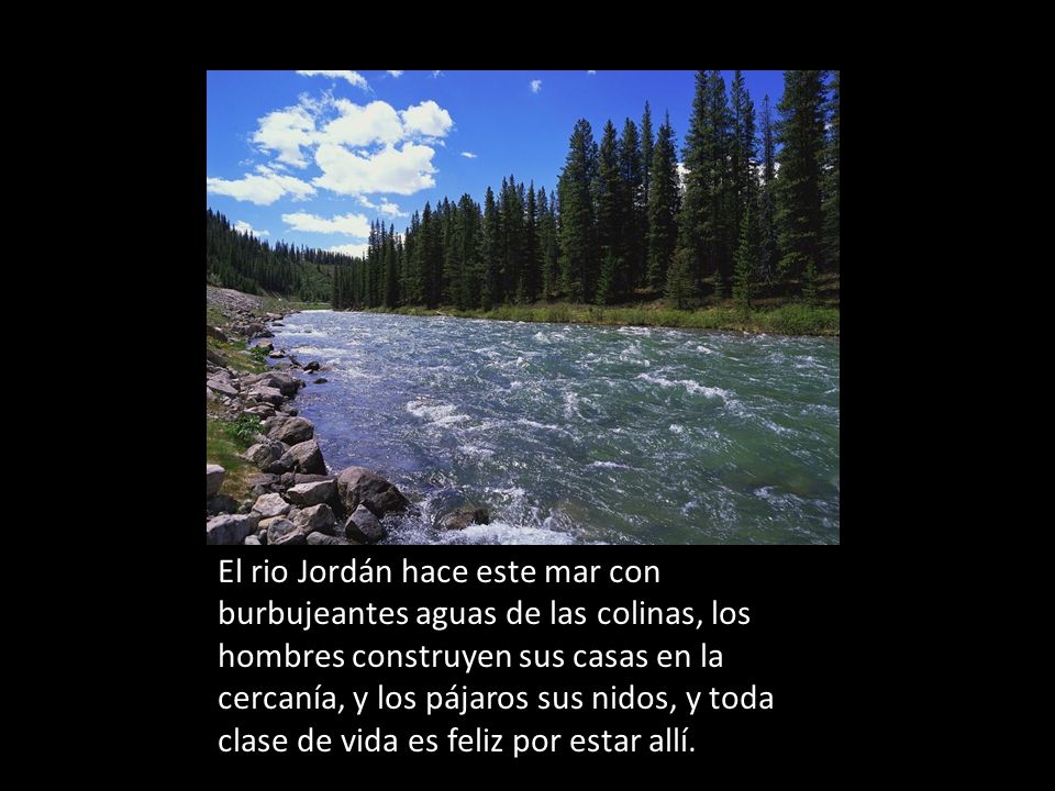El rio Jordán hace este mar con burbujeantes aguas de las colinas, los hombres construyen sus casas en la cercanía, y los pájaros sus nidos, y toda clase de vida es feliz por estar allí.