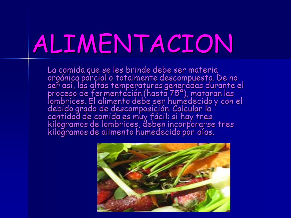 ALIMENTACION