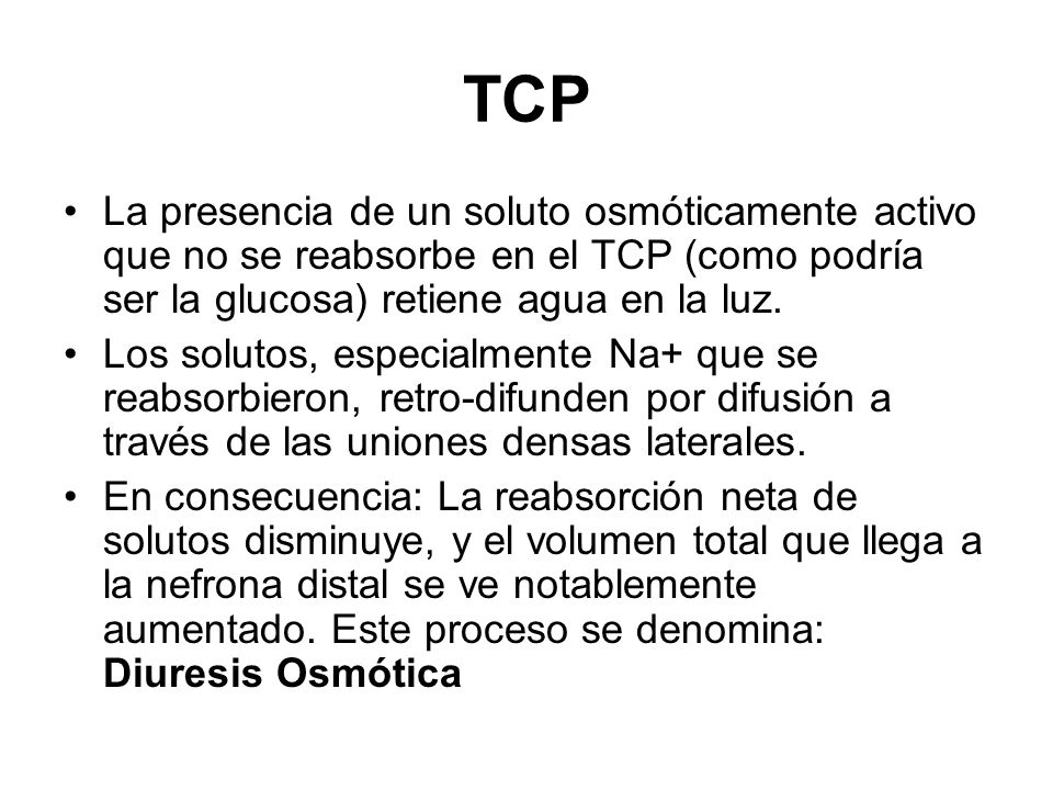TCP La presencia de un soluto osmóticamente activo que no se reabsorbe en el TCP (como podría ser la glucosa) retiene agua en la luz.