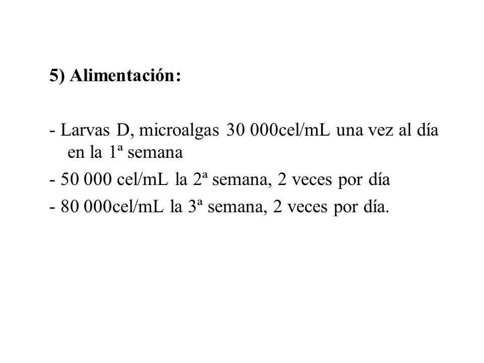 5) Alimentación: - Larvas D, microalgas cel/mL una vez al día en la 1ª semana cel/mL la 2ª semana, 2 veces por día.