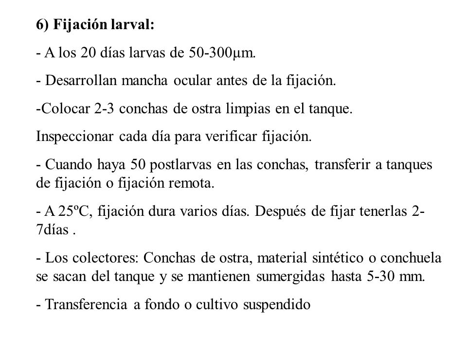 6) Fijación larval: - A los 20 días larvas de µm. - Desarrollan mancha ocular antes de la fijación.