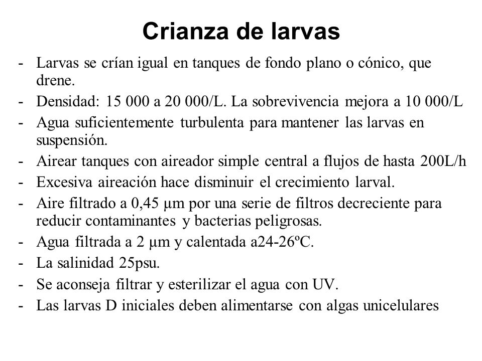 Crianza de larvas Larvas se crían igual en tanques de fondo plano o cónico, que drene.