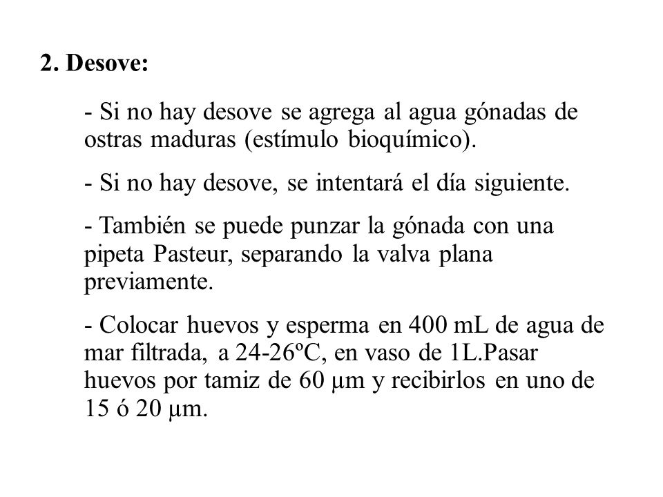 2. Desove: - Si no hay desove se agrega al agua gónadas de ostras maduras (estímulo bioquímico). - Si no hay desove, se intentará el día siguiente.