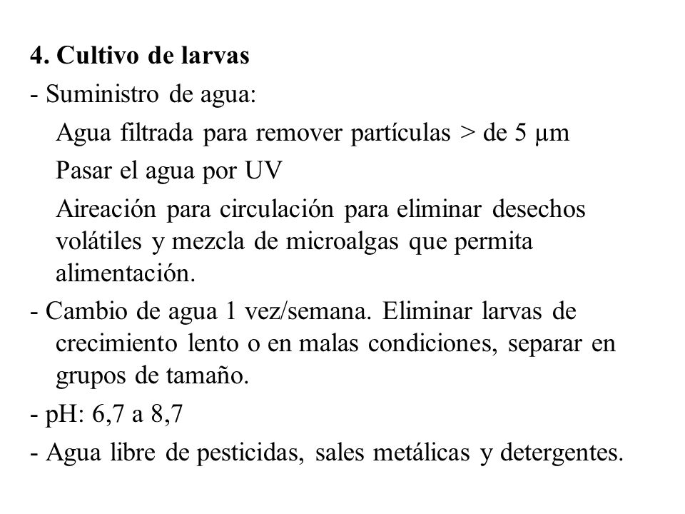 4. Cultivo de larvas - Suministro de agua: Agua filtrada para remover partículas > de 5 µm. Pasar el agua por UV.
