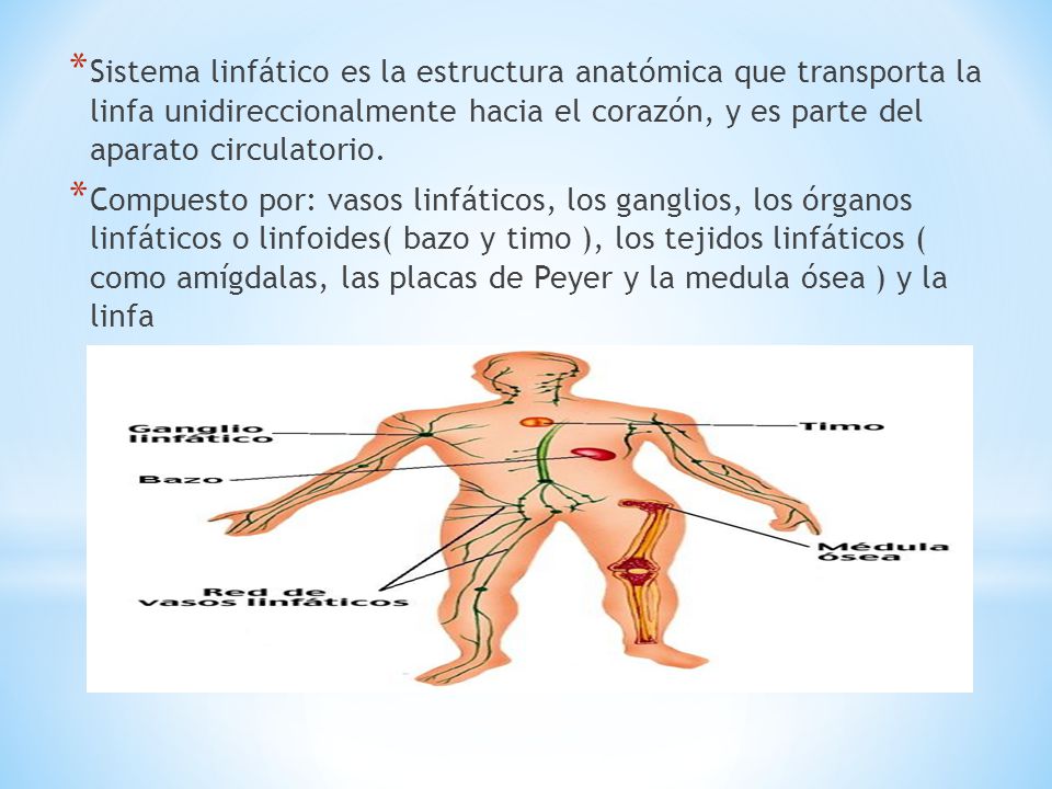 Sistema linfático es la estructura anatómica que transporta la linfa unidireccionalmente hacia el corazón, y es parte del aparato circulatorio.
