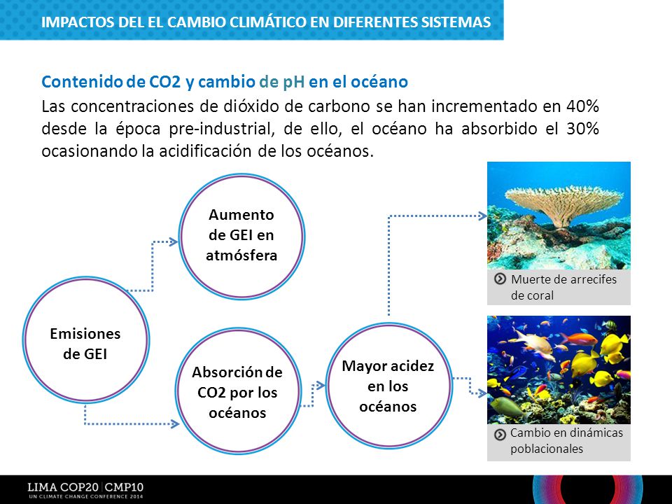 Contenido de CO2 y cambio de pH en el océano
