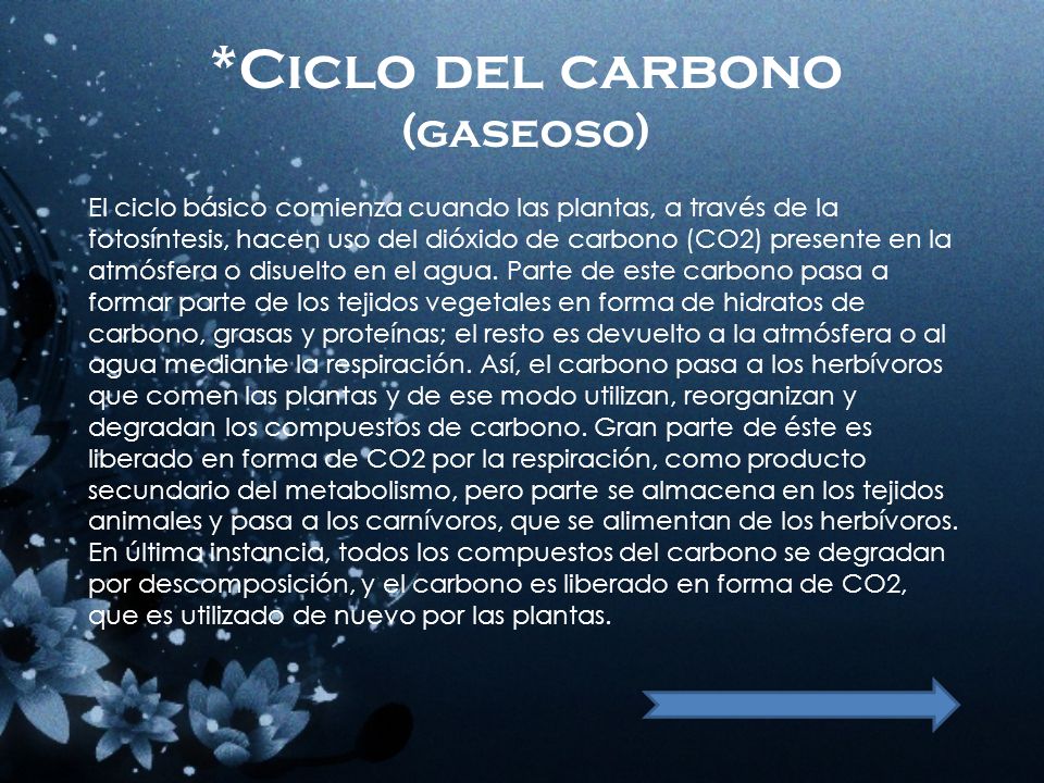 *Ciclo del carbono (gaseoso)