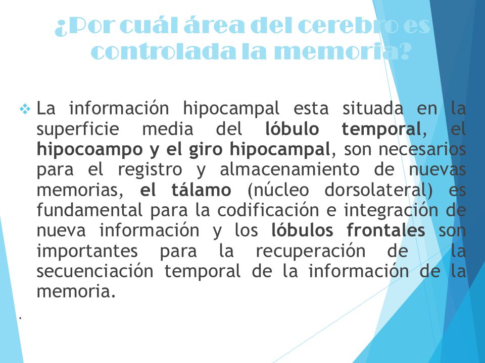 ¿Por cuál área del cerebro es controlada la memoria