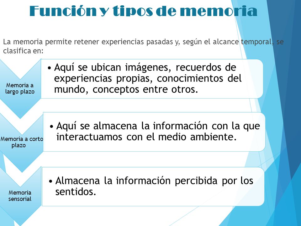 Función y tipos de memoria