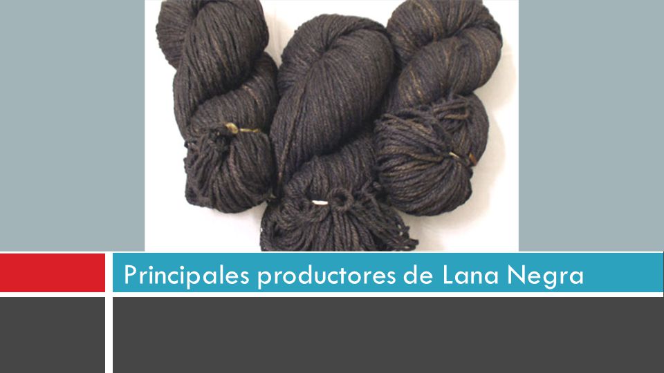 Principales productores de Lana Negra