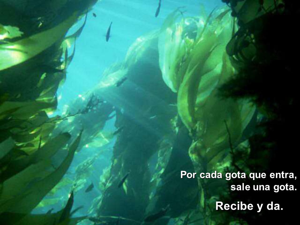 Recibe y da. Por cada gota que entra, sale una gota.