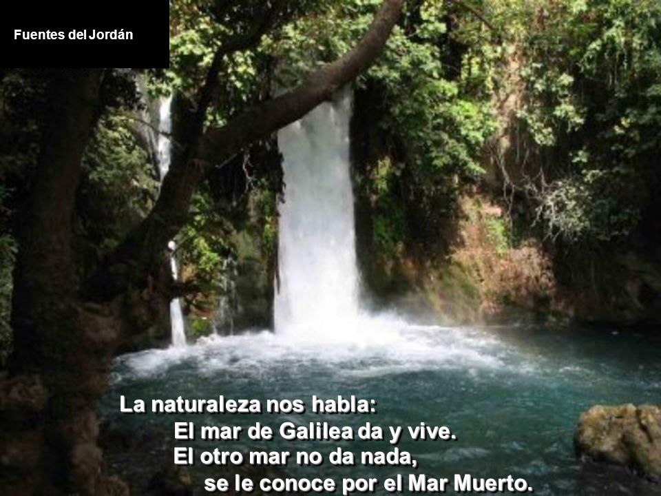 La naturaleza nos habla: El mar de Galilea da y vive.