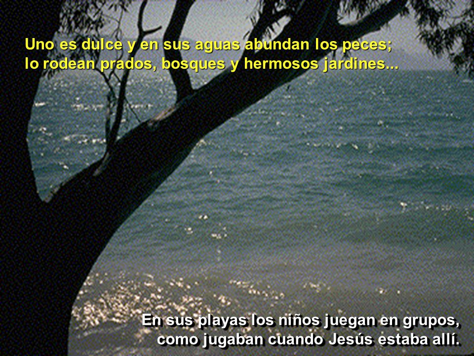 Uno es dulce y en sus aguas abundan los peces; lo rodean prados, bosques y hermosos jardines...