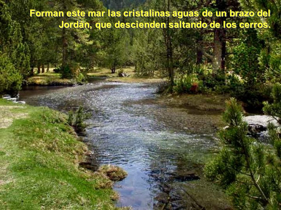 Forman este mar las cristalinas aguas de un brazo del Jordán, que descienden saltando de los cerros.