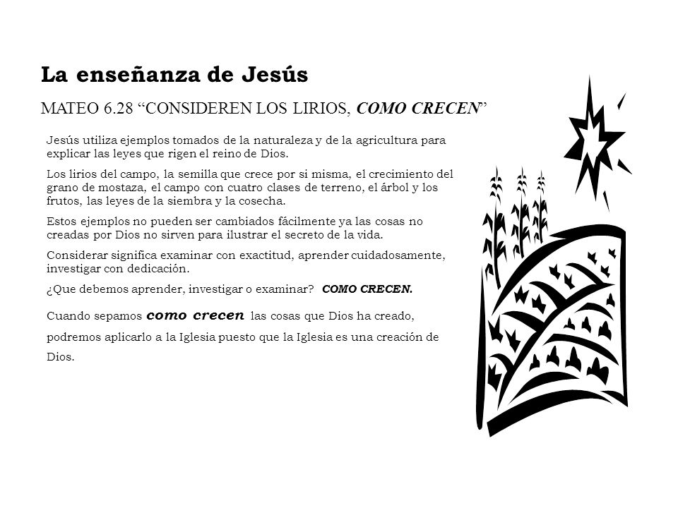 La enseñanza de Jesús MATEO 6.28 CONSIDEREN LOS LIRIOS, COMO CRECEN