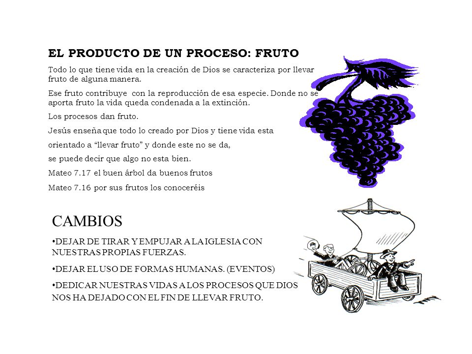CAMBIOS EL PRODUCTO DE UN PROCESO: FRUTO
